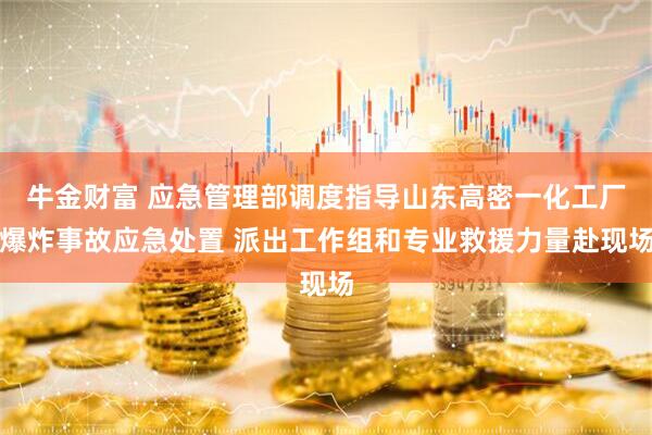牛金财富 应急管理部调度指导山东高密一化工厂爆炸事故应急处置 派出工作组和专业救援力量赴现场