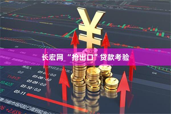 长宏网 “抢出口”贷款考验