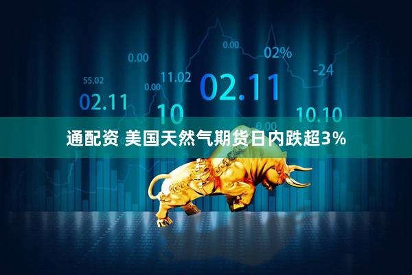 通配资 美国天然气期货日内跌超3%