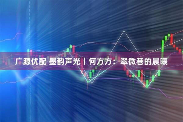 广源优配 墨韵声光丨何方方：翠微巷的晨曦