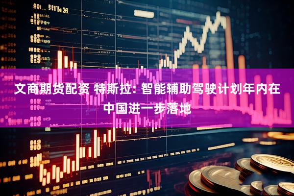 文商期货配资 特斯拉: 智能辅助驾驶计划年内在中国进一步落地