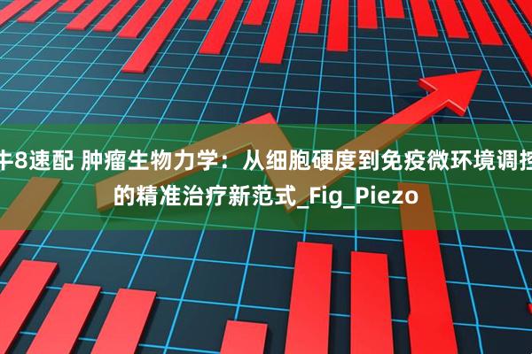 牛8速配 肿瘤生物力学：从细胞硬度到免疫微环境调控的精准治疗新范式_Fig_Piezo